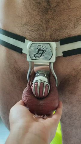 Chastity Chastity Belt Domination Dominatrix Domme Femdom Slave Submission Submissive Porn GIF