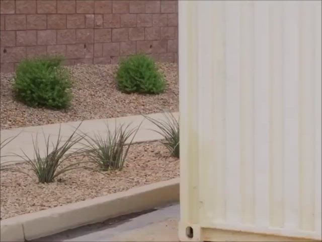 enormous boobies Codi Vore Natural boobies Porn GIF