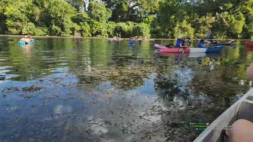 butt Boat Watersports Porn GIF