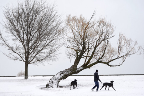 Foot Of Snow Blankets Parts Of Midwest Travel