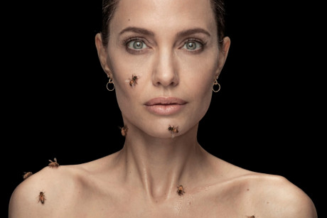Angelina Jolie Embraces Bees And Female Beekeepers Environmental