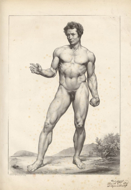 Bloodlines Circulating The Male Body Across Borders In Art And Anatomy 1780 1860 Issue 20 July 2021 Issues Art