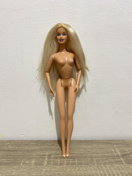 Barbie White Long Hair Hobbies Toys Toys On
