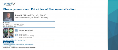Phacodynamics Principles Of An